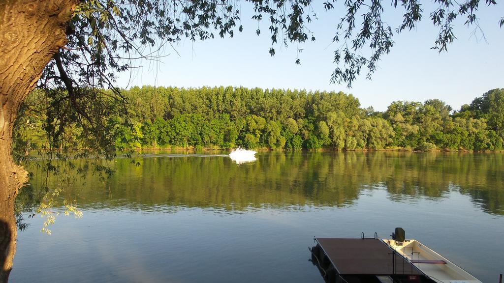 Tiszavirag Vendeghaz Villa Szeged Exteriör bild