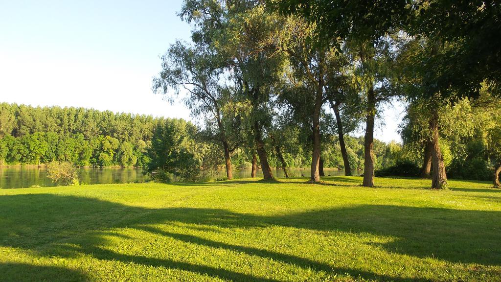 Tiszavirag Vendeghaz Villa Szeged Exteriör bild