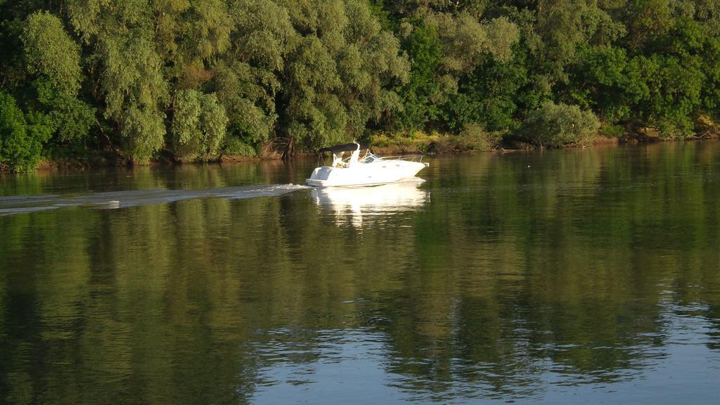 Tiszavirag Vendeghaz Villa Szeged Exteriör bild