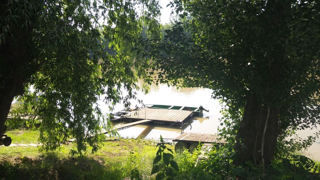 Tiszavirag Vendeghaz Villa Szeged Exteriör bild