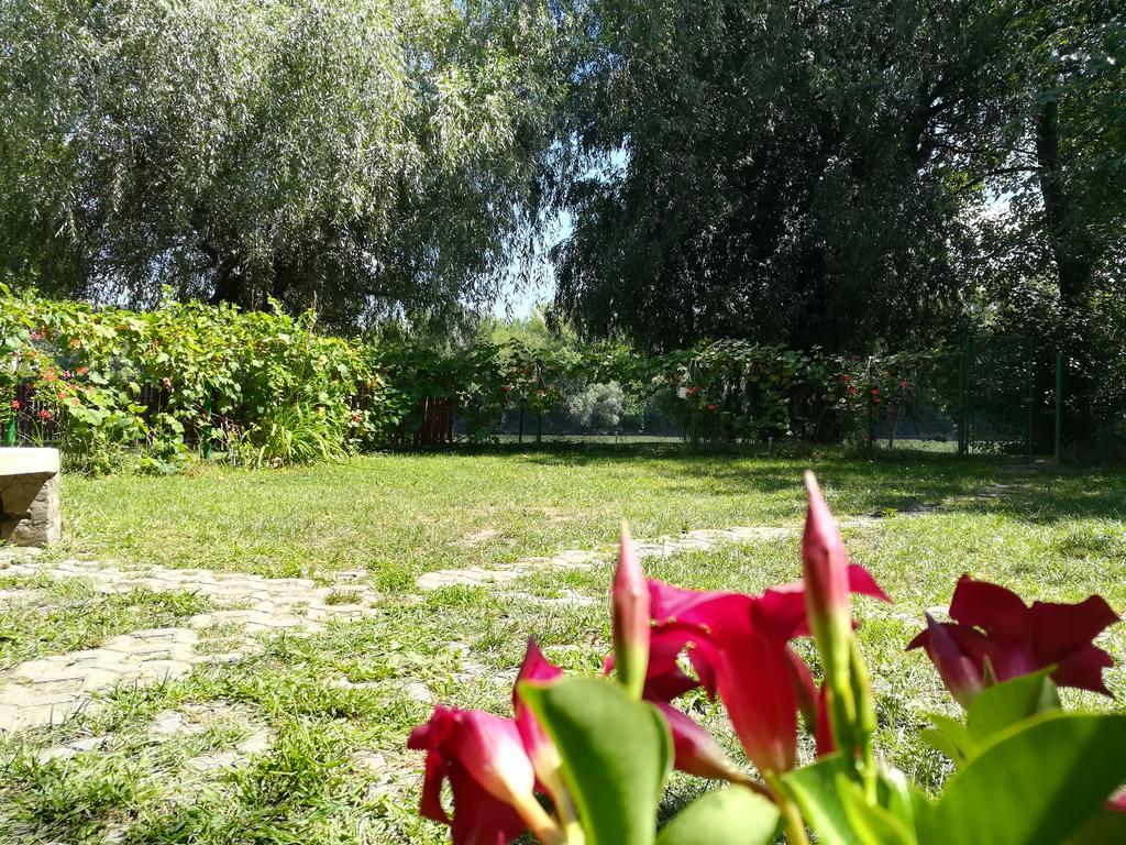 Tiszavirag Vendeghaz Villa Szeged Exteriör bild