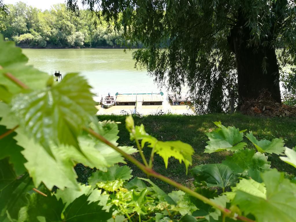 Tiszavirag Vendeghaz Villa Szeged Exteriör bild