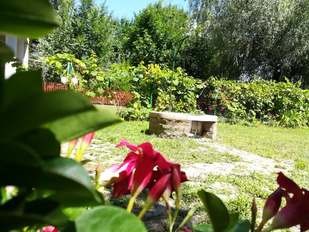 Tiszavirag Vendeghaz Villa Szeged Exteriör bild