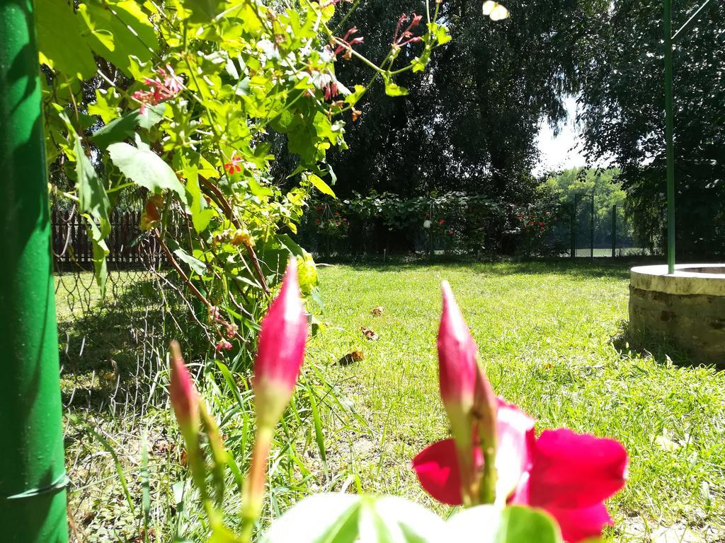 Tiszavirag Vendeghaz Villa Szeged Exteriör bild